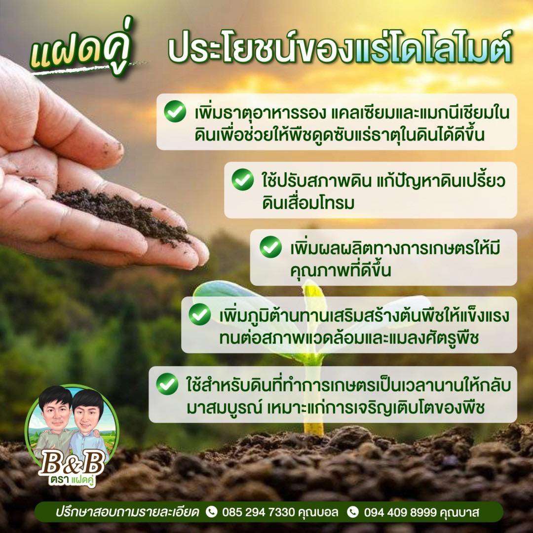 เทคนิคการใช้โดโลไมต์ปรับค่า pH ในดินและน้ำบ่อกุ้งอย่างได้ผล