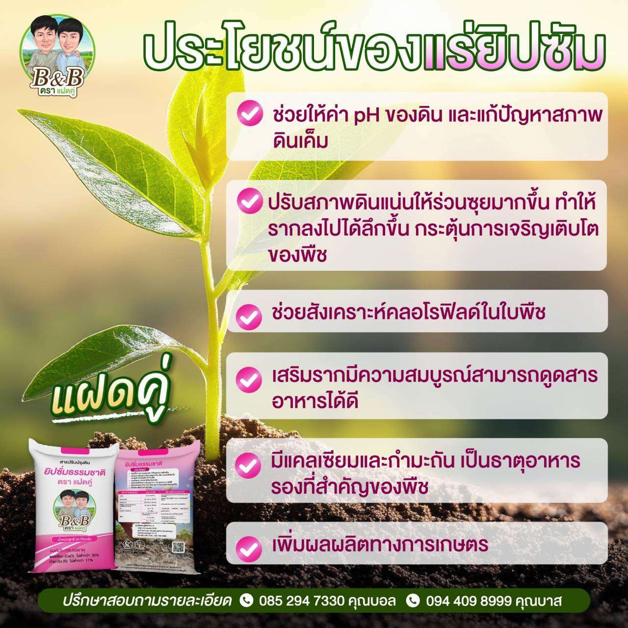 ดินเปรี้ยว ดินกรด เกิดจากอะไร และวิธีแก้ด้วยสารปรับปรุงดินตราแฝดคู่