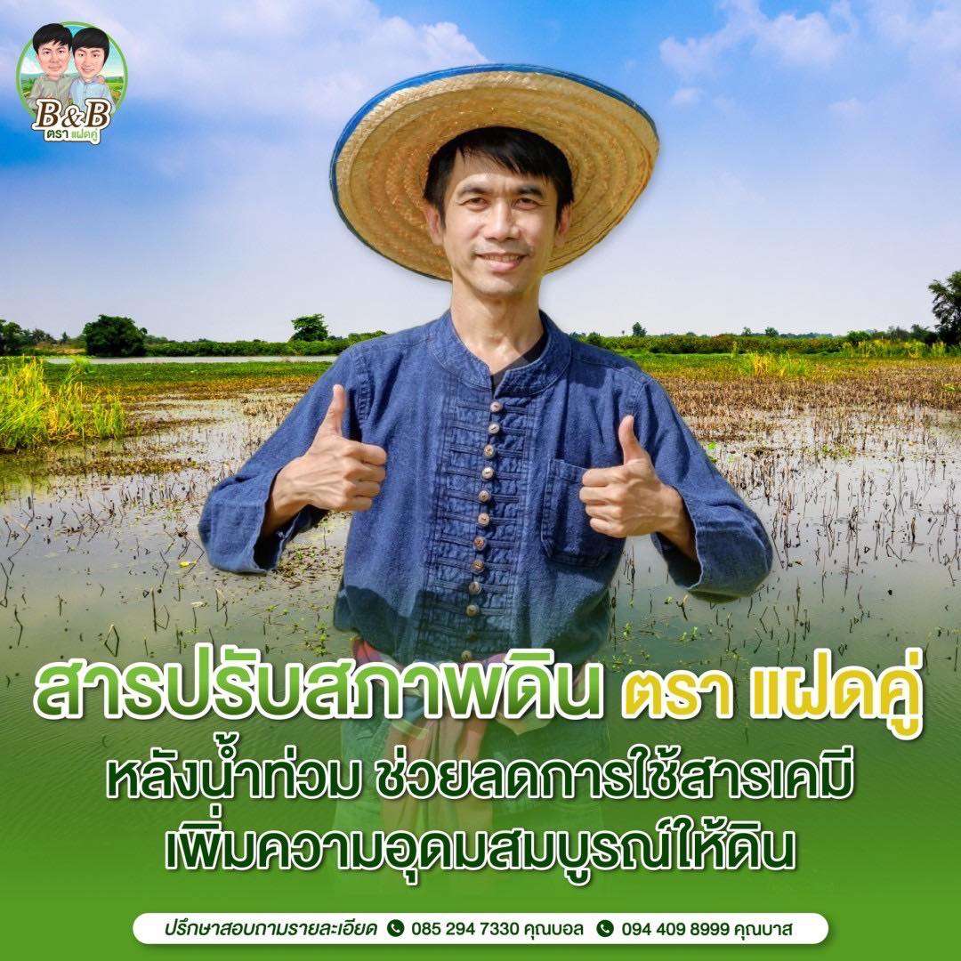 เจาะลึก SEO สำหรับเว็บไซต์เกษตร ยุคดิจิทัล เพิ่มยอดขายให้ร้านค้าปุ๋ย