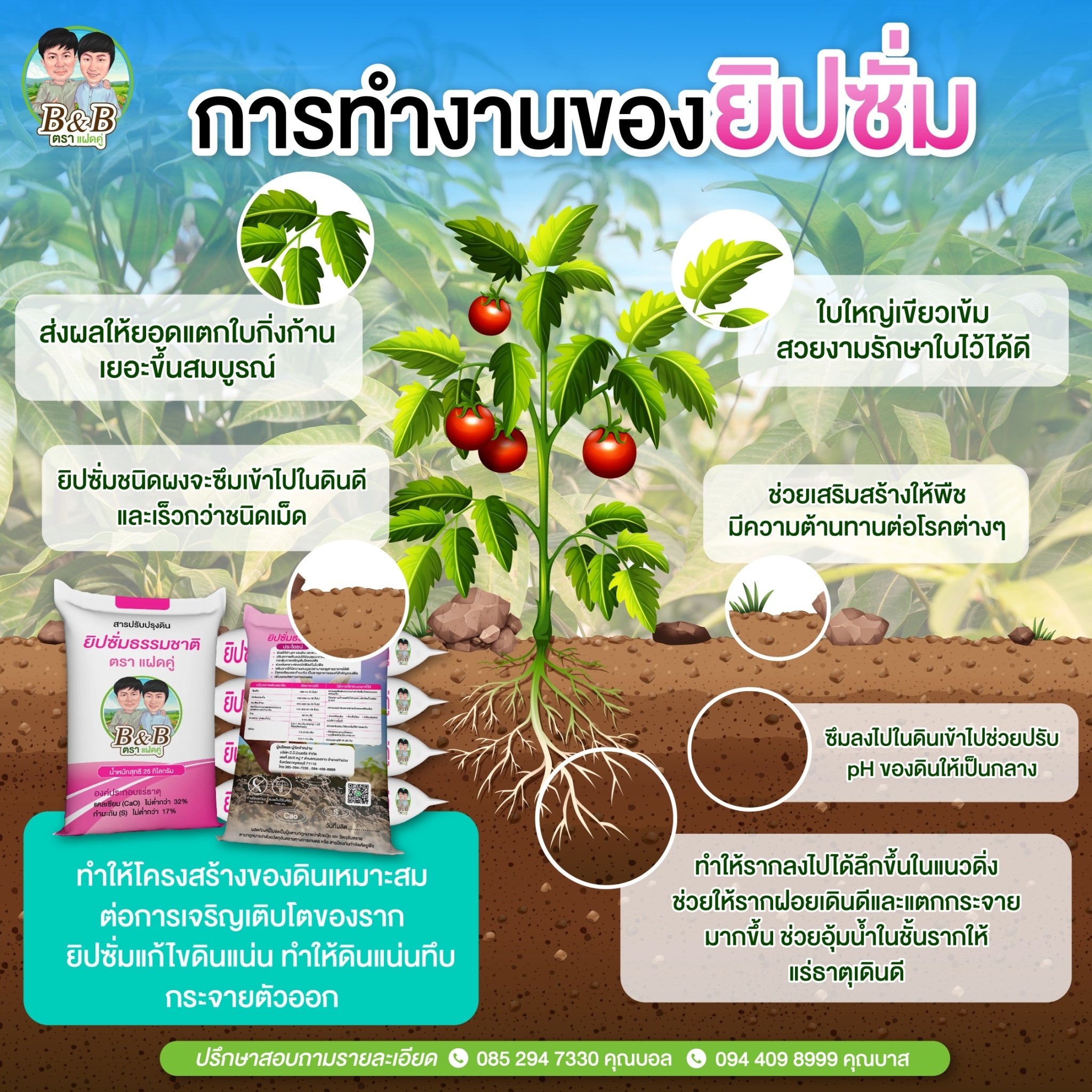 การวางแผนใส่สารปรับปรุงดินตามฤดูกาล (ฤดูฝน ฤดูแล้ง)